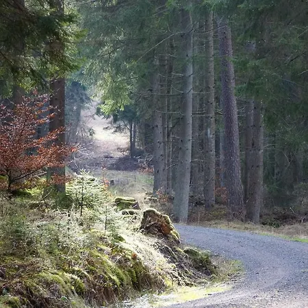 Lägenhet Eifel View
